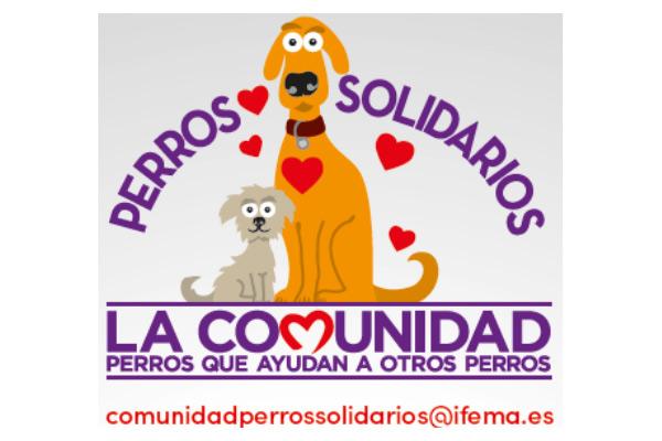 Nace la Comunidad Perros Solidarios de la mano de 100x100 Mascota | IM ...