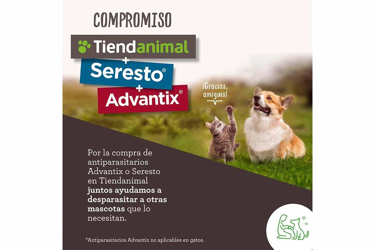 Elanco Kiwoko y Tiendanimal promueven la campana Ninguna mascota sin desparasitar IM Veterinaria