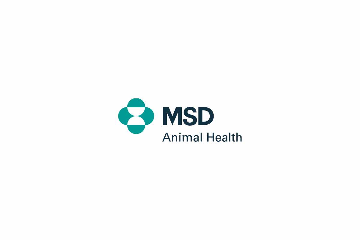 MSD Animal Health Presenta Su Nueva Plataforma Para El Sector Porcino ...