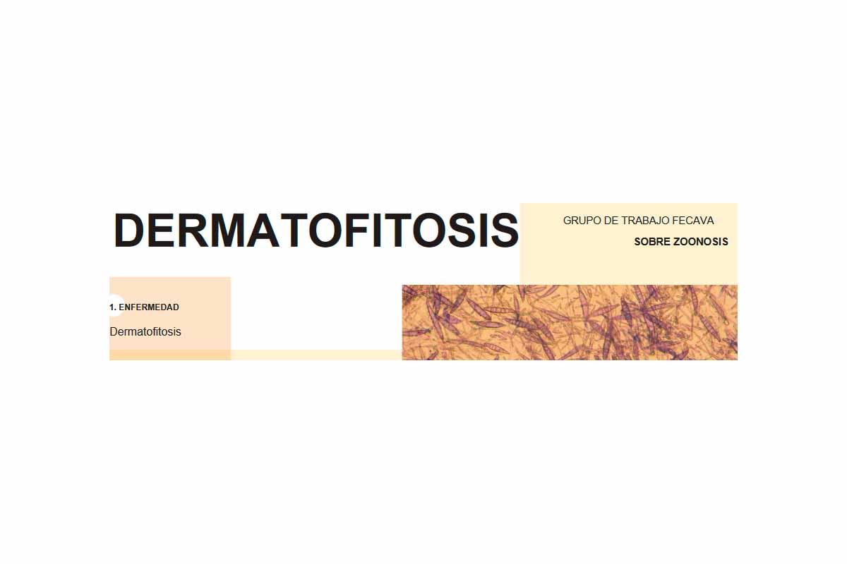 Diagnóstico de la dermatofitosis - Ateuves, para el auxiliar veterinario