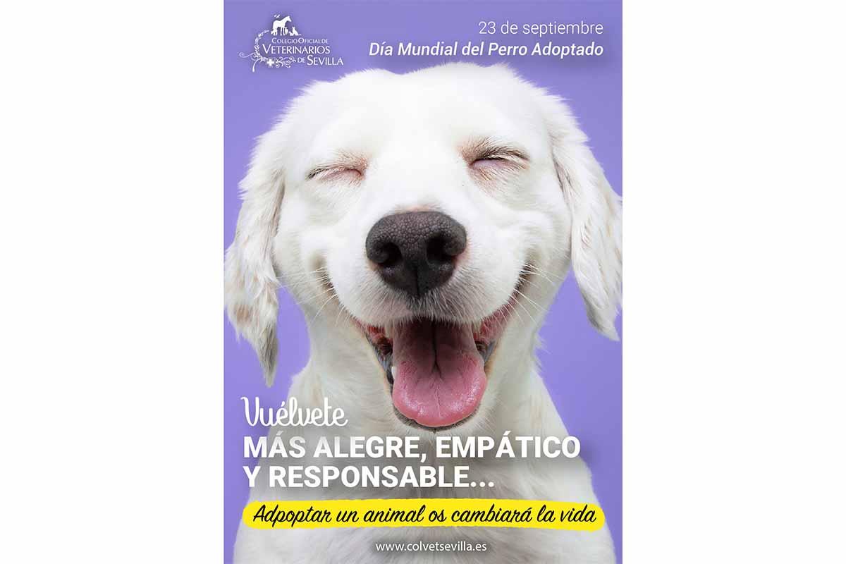 Vuélvete La Campaña Del Colegio De Veterinarios De Sevilla Con Motivo