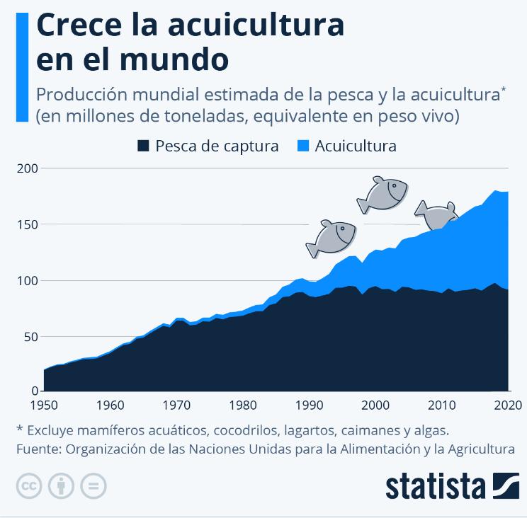 la-acuicultura-ya-representa-la-mitad-de-la-produccion-mundial-de-pes