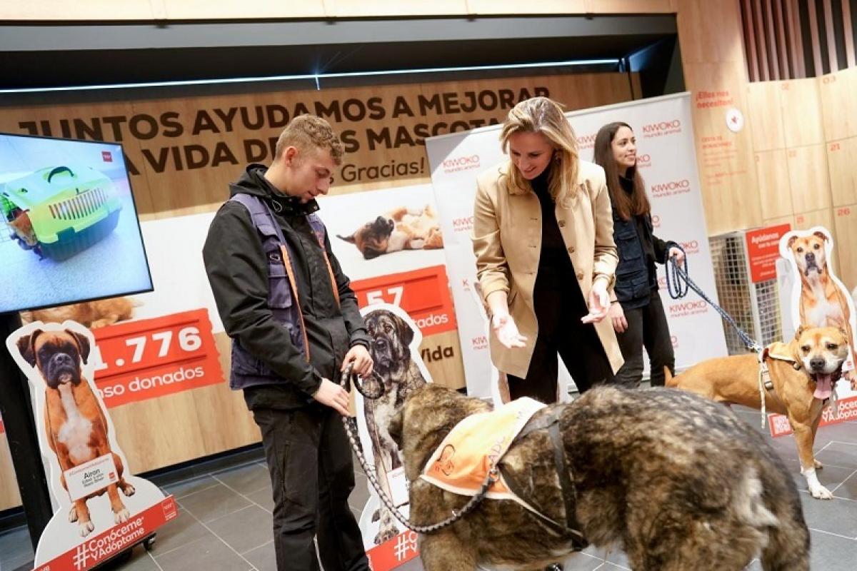 Centro Integral de Acogida de Animales de la Comunidad de Madrid (CIAAM)