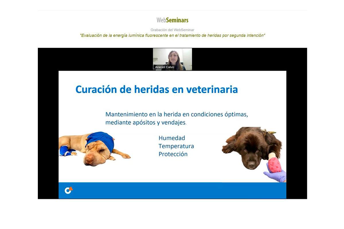 Disponible el seminario web sobre el manejo de heridas por segunda intención  organizado por Vetoquinol | IM Veterinaria