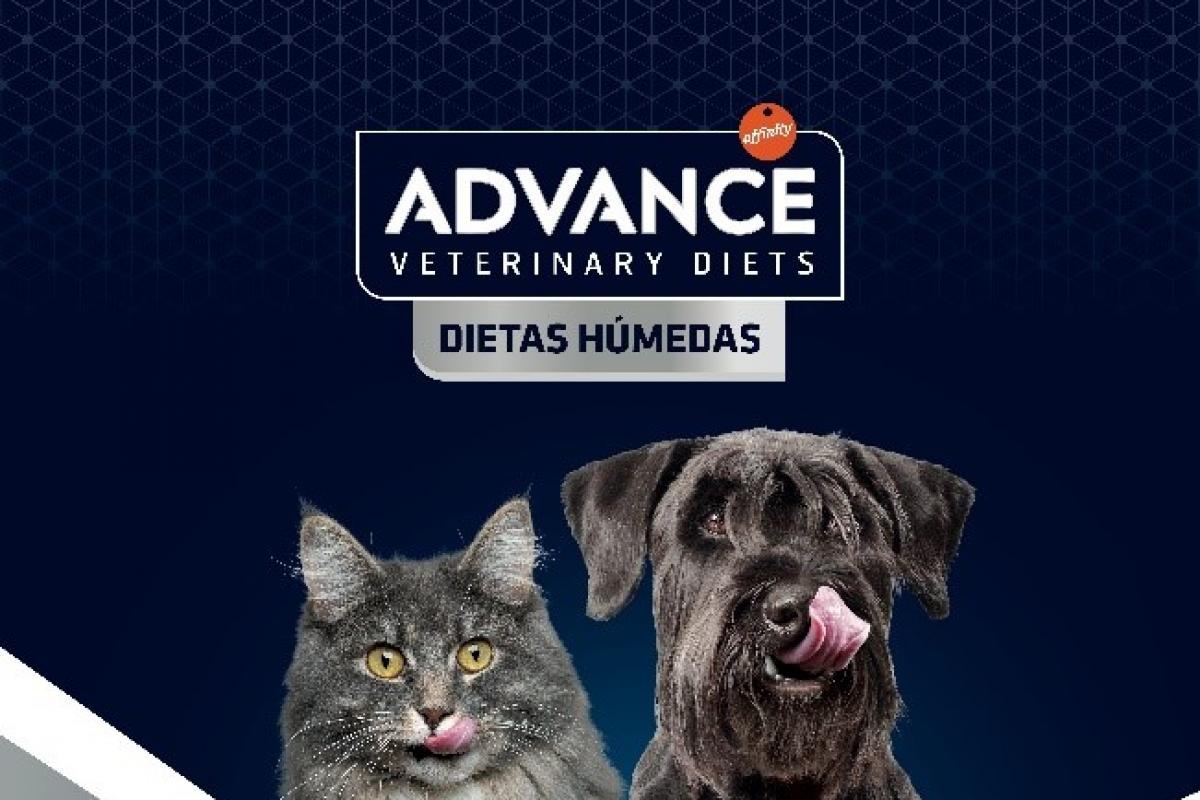 Advance Recovery Sobre para perros y gatos